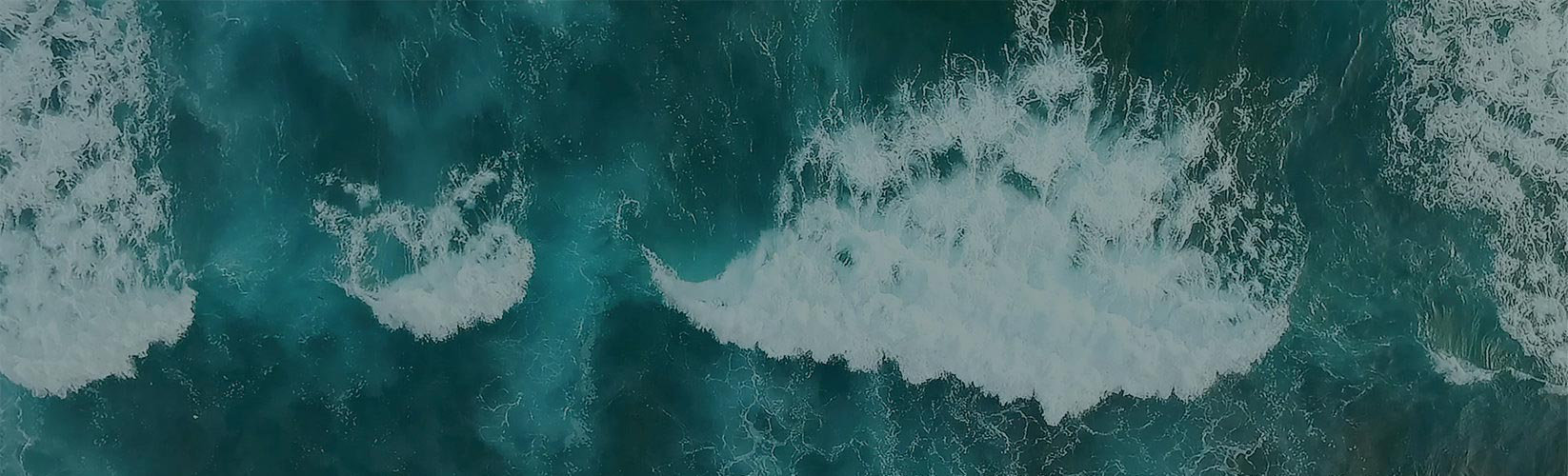 Engagés pour la mer